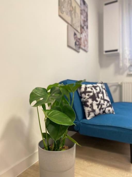 Apartman Kristina Štúrovo Eksteriør billede